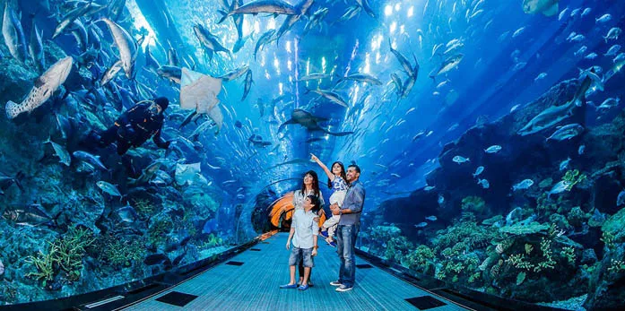 dubai mall aquarium and underwater zoo tickets